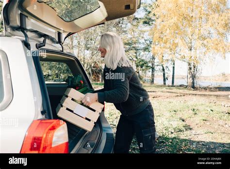Side View Of Mature Woman Loading Crate Full Of Organic Vegetables In