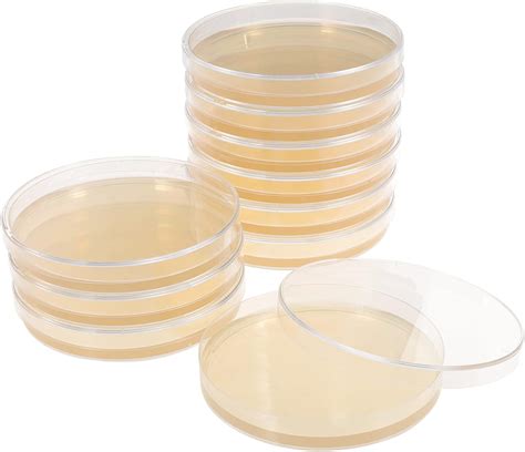 Agar Plates Petri Dishes Pcs Science Petri Dishes Petri Nutrient