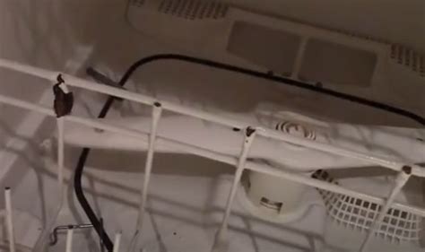 How To Clean Old Ge Dishwasher Filter And Others Simple Steps