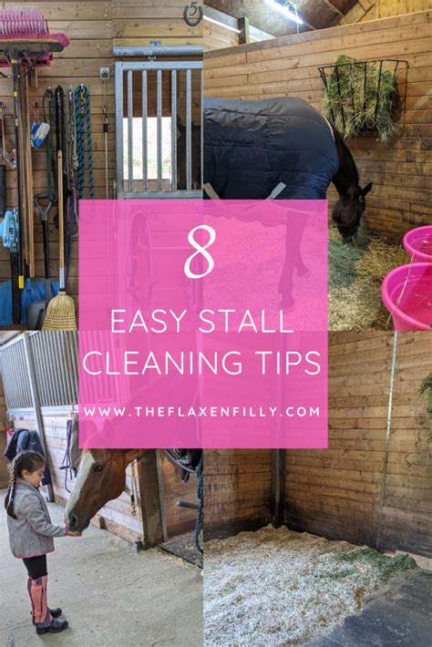 How To Clean Your Horses Stall Perfectly In 8 Easy Steps The Flaxen