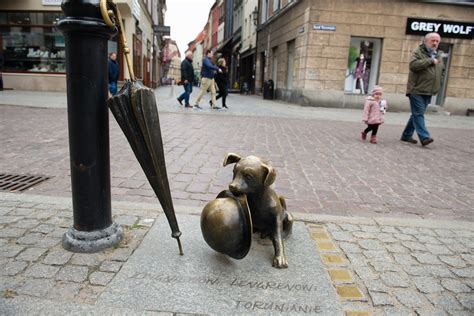 Nietypowy pomnik w Toruniu rzeźba psa Filusia Dziennik Bałtycki