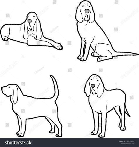 Bloodhound Animal Vector Illustration Hand Drawn Stock Vector Royalty