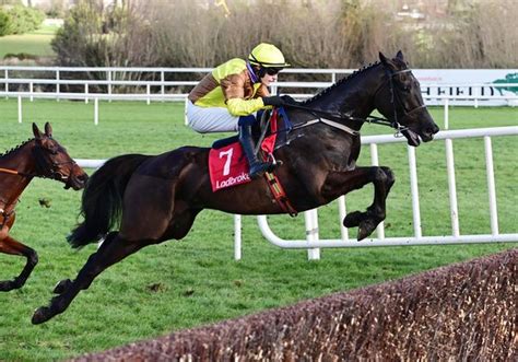 Galopin Des Champs all set for Leopardstown | irishracing.com