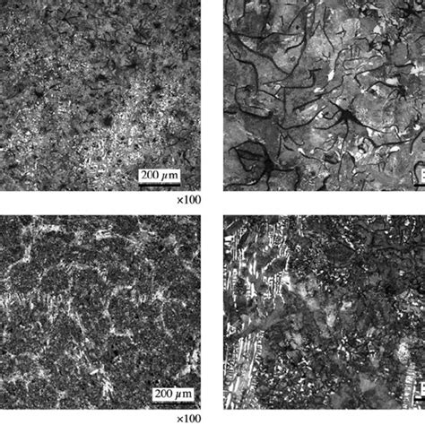 Grey cast iron microstructure of compositions 3 (a, b) and 4 (c, d ...