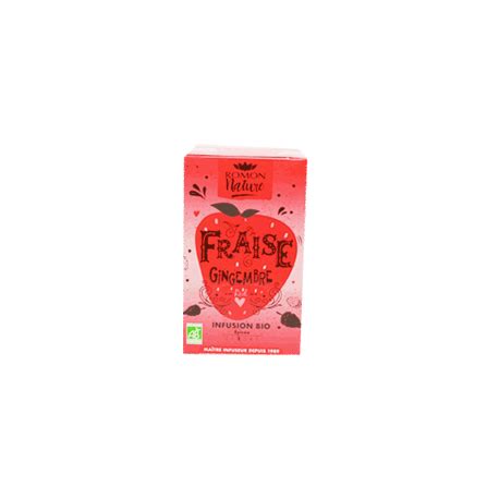 INFUSION FRAISE GINGEMBRE ROMON NATURE PLANTASIA Acheter Sur