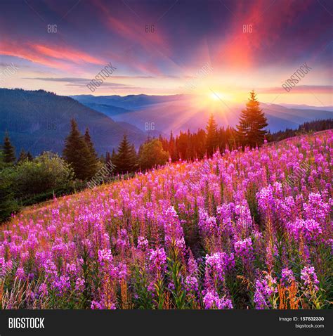 Colorful Summer Image & Photo (Free Trial) | Bigstock