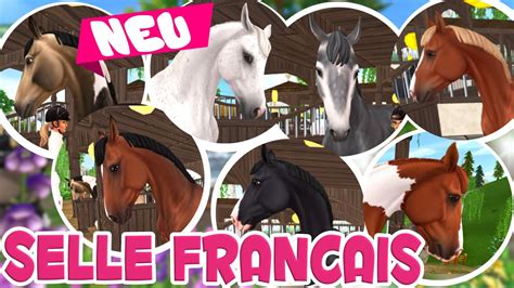 Selle Francais Das Remake Ist Da Pferdekauf Star Stable Online