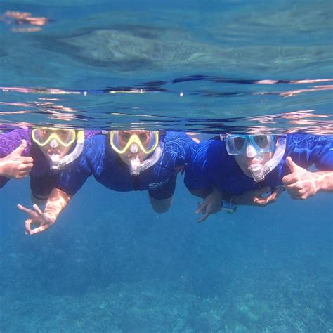 Maui Snorkel Tours Kihei Atualizado 2022 O Que Saber Antes De Ir