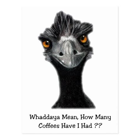 Emu Funny Humor Too Many Coffees Art Postcard Zazzle