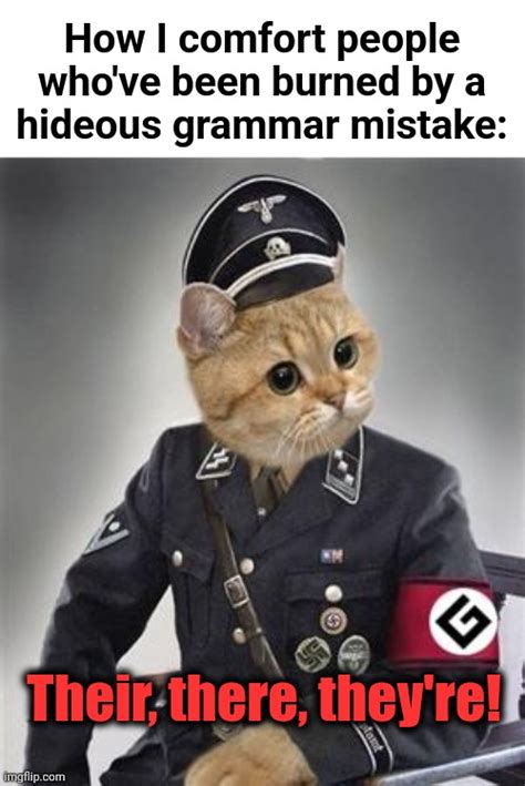 Grammar Nazi Cat Imgflip