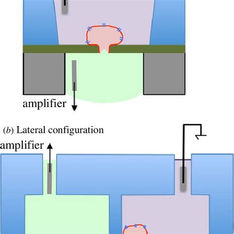 Cross Sectional Schematics Describing The Chip Based Approaches