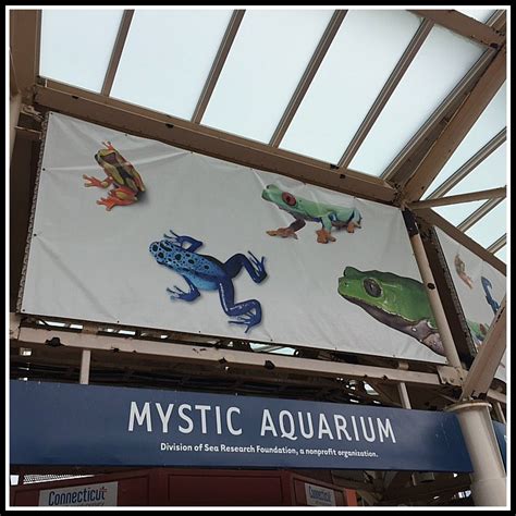 Mystic Aquarium