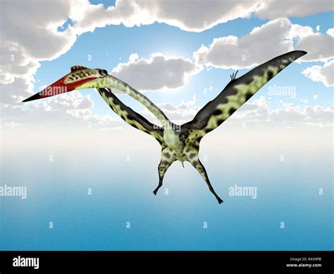 Quetzalcoatlus Hi Res Stock Photography And Images Alamy