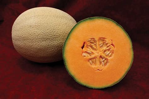 Sakata Seed America To Debut “Tasty 10 By Sakata Collection” At 2014 ...