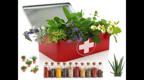 Arma botiquín HERBOLARIO casero de PRIMAVERA Plantas medicinales