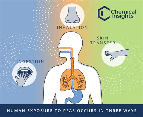 Chemical Insights Research Institute And Emory Universitys Rollins