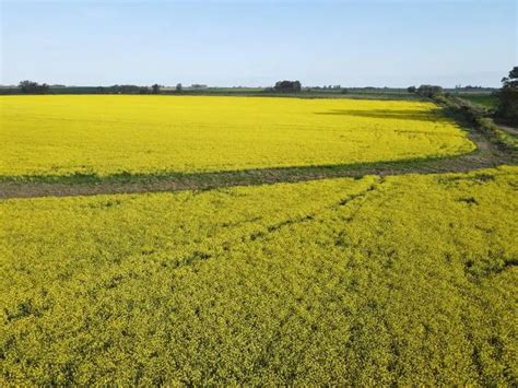 Campo En Venta 130 Has Agrícolas Gualeguaychú Agrofy