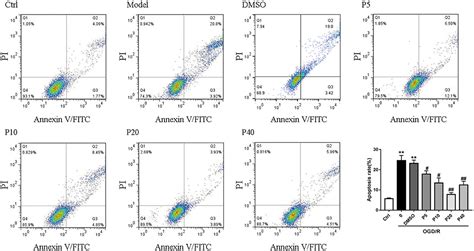 Frontiers Corrigendum Propofol Alleviates Dna Damage Induced By