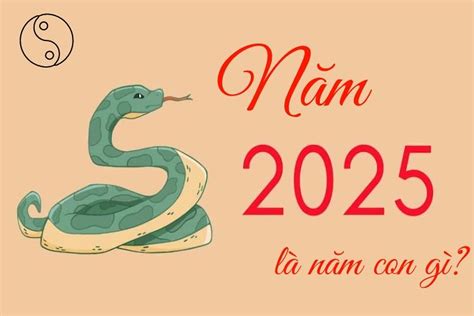 Năm 2025 Là Năm Con Gì Giải Mã Vận Mệnh Sinh Con Năm Rắn Có Tốt