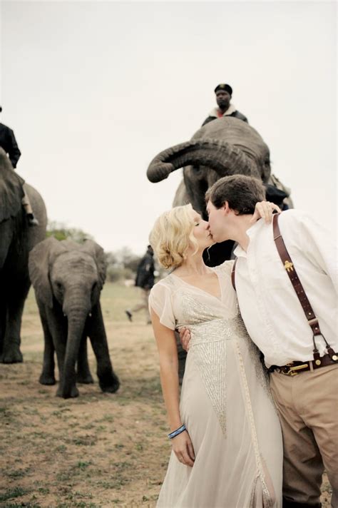 South African Safari Wedding With Elephants Popsugar Love And Sex