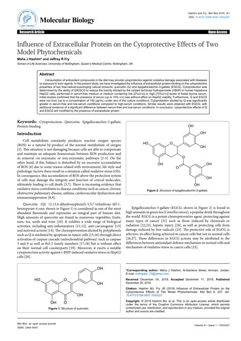 PDF Influence Of Extracellular Protein On The Cytoprotective Effects