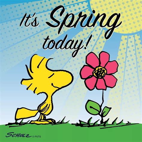 Snoopy 💖 Spring Snoopy Quotes Snoopy Love Spring Quotes