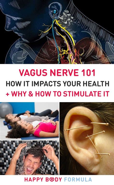 Vagus Nerve 101 Why You Should Know This Vagus Nerve Nerve