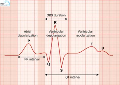 What Is A Normal Qtc Calculation