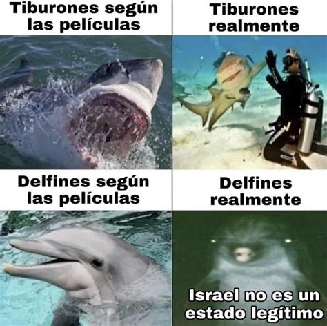 Tiburones Vs Delfines Meme Subido Por JN11 Memedroid