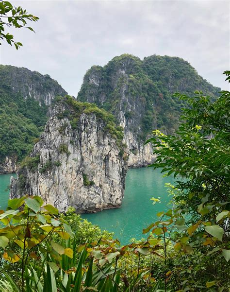 An unforgettable Bai Tu Long Bay cruise (Vietnam) | YOLO Travel Experiences