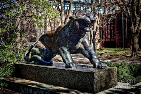 Princeton University Tiger Statue Photograph by Olivier Le Queinec