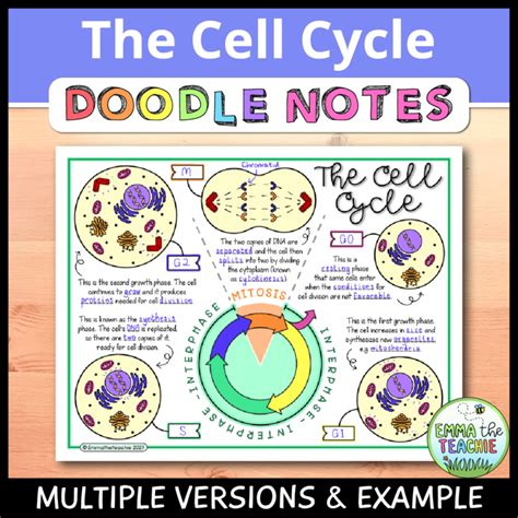 Cell Cycle Doodle Notes Emmatheteachie Freebie