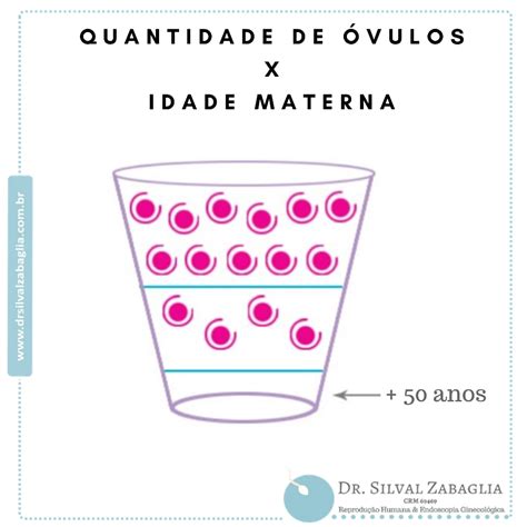 A Mulher Ja Nasce Com Os Ovulos - Quantidade de Óvulos X Idade Materna | Dr. Silval Zabaglia