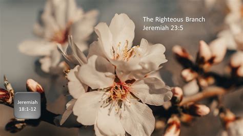 Jeremiah 18 1 12 Shapes YouTube