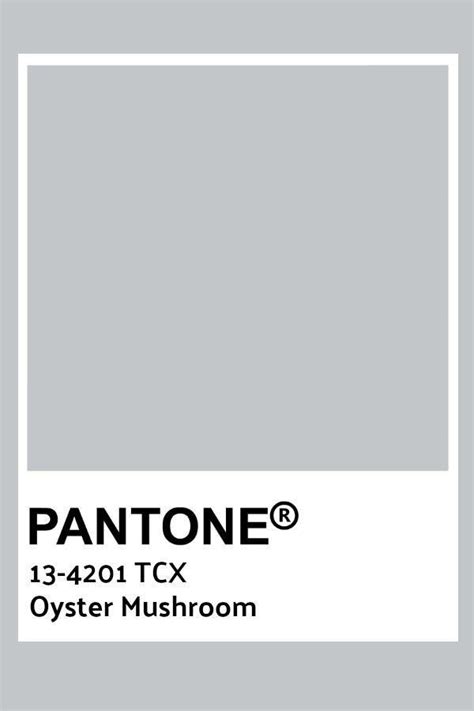 Pin By Debbie Reymond On Colors In Pantone Color Chart Pantone