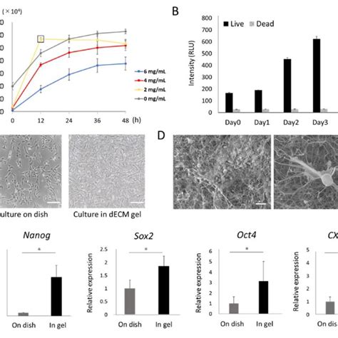 Proliferation And Viability Of Mscs Cultured In Decm Hydrogels A Download Scientific Diagram