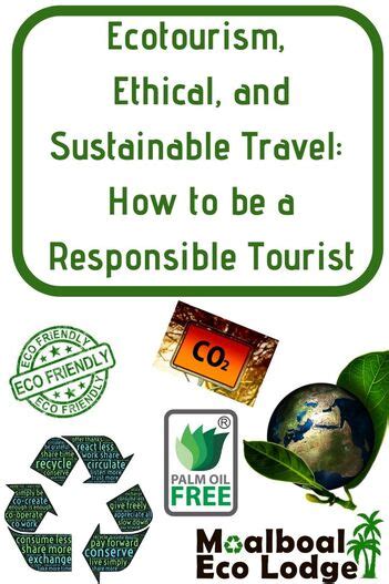 Ecotourism, Ethical, and Sustainable Travel: How to be a Responsible ...