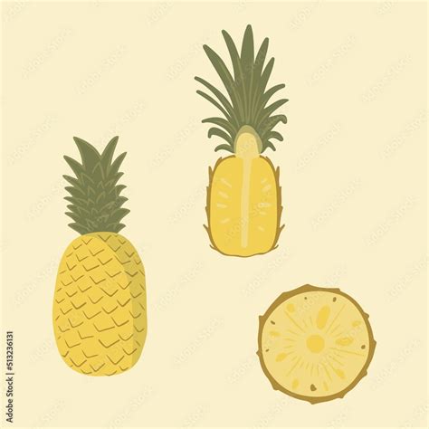 Pineapple Vector Illustration Set Of Hand Drawn Pineapple Clip Arts