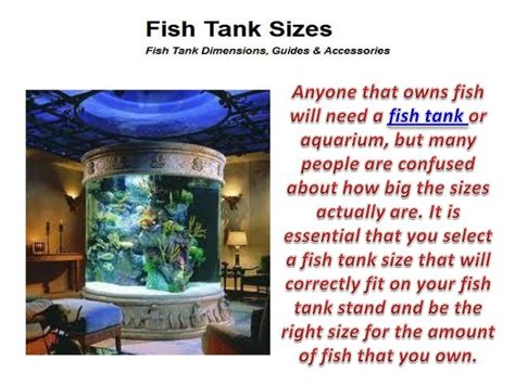 Fish tank sizes