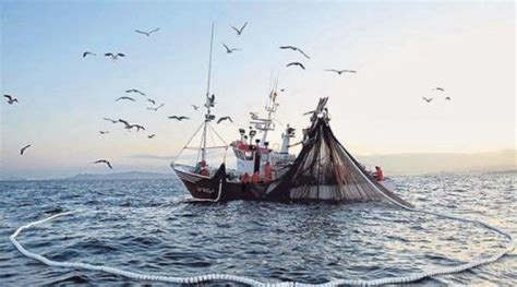 TODO LO QUE NECESITAS SABER SOBRE ARTES DE PESCA COMEPESCADO