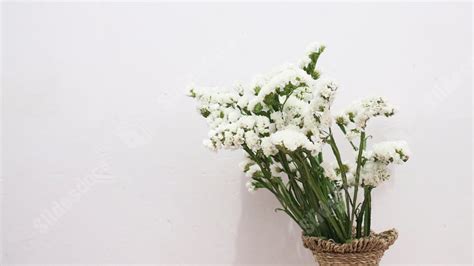 Fondo Jarrón De Flores De Polen De Pétalo De Hoja Floral Blanco Para Power Point Y Diapositivas