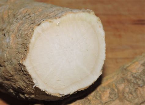 Using Fresh Horseradish Root » Ingredients » Sybaritica