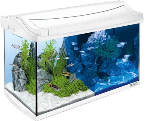 Tetra AquaArt Discovery Line LED Aquarium Komplett Set 30 60 Liter