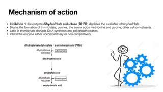 dihydrofolate reductase inhibitor | PPT