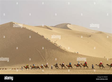 Camel Caravan Silk Road