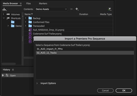 Adobe Updates Premiere Pro Audition After Effects And Character