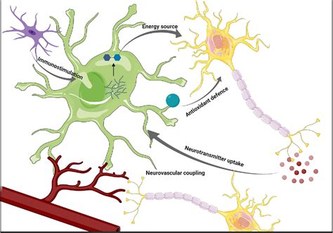 Figure From Astrocyte Neuron Metabolic Crosstalk In Neurodegeneration