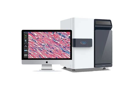 Kf Pro 120 High Speed Full Automatic Digital Pathology Slide Scanner