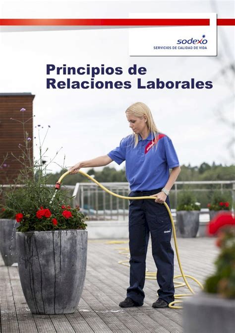 PDF Principios De Relaciones Laborales DOKUMEN TIPS