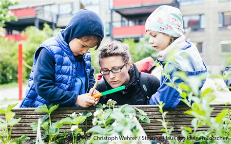 Bildung für nachhaltige Entwicklung gestalten